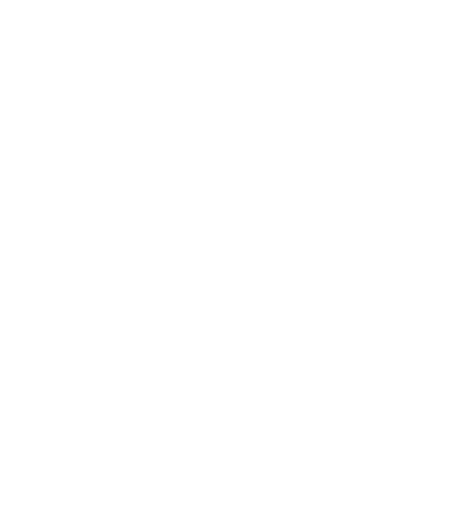 The Impact Ambassadors